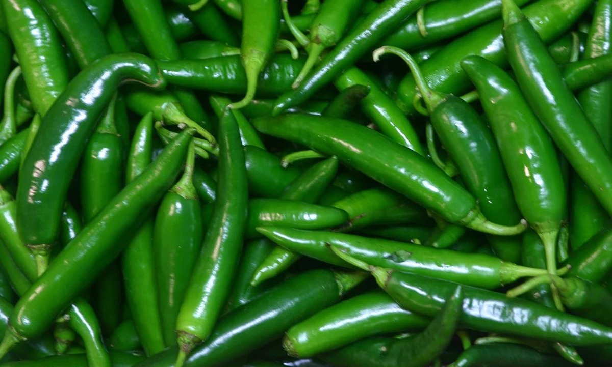 Digestive health benefits of Green chillies revealed