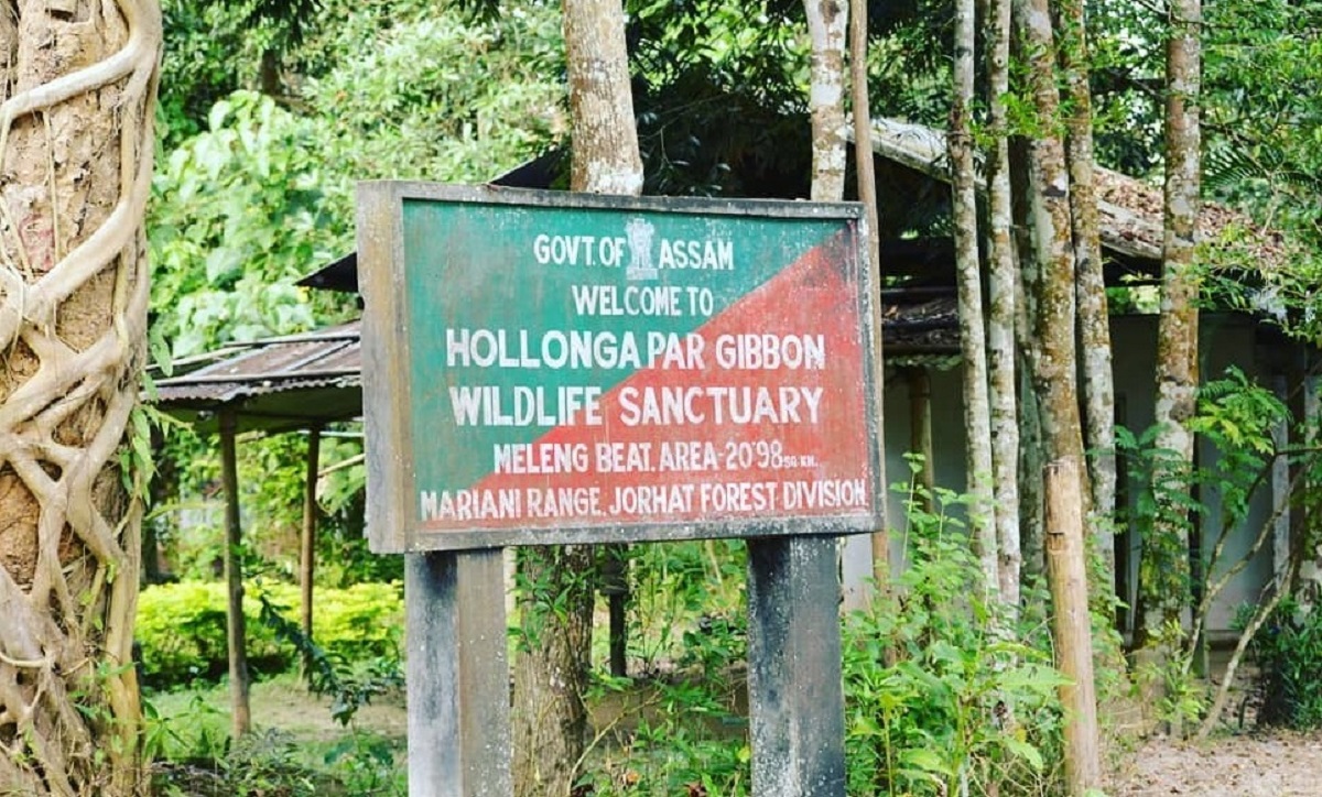 Gaurav Gogoi calls for alternative solutions to protect Assam Sanctuary