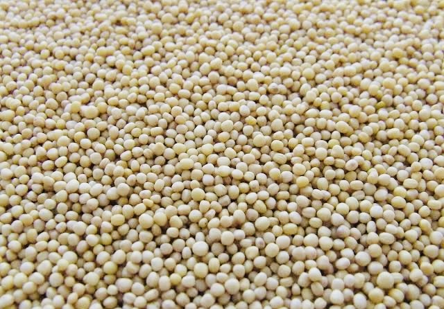 Guarseed futures prices upsurge on spot demand