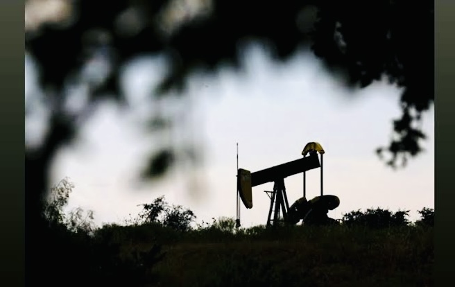 Cottonseed oil futures prices drop on weak demand