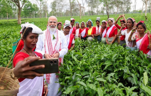 Tea Producers from Assam and Bengal Petition PM Modi to Scrap Mandatory Auction Rules